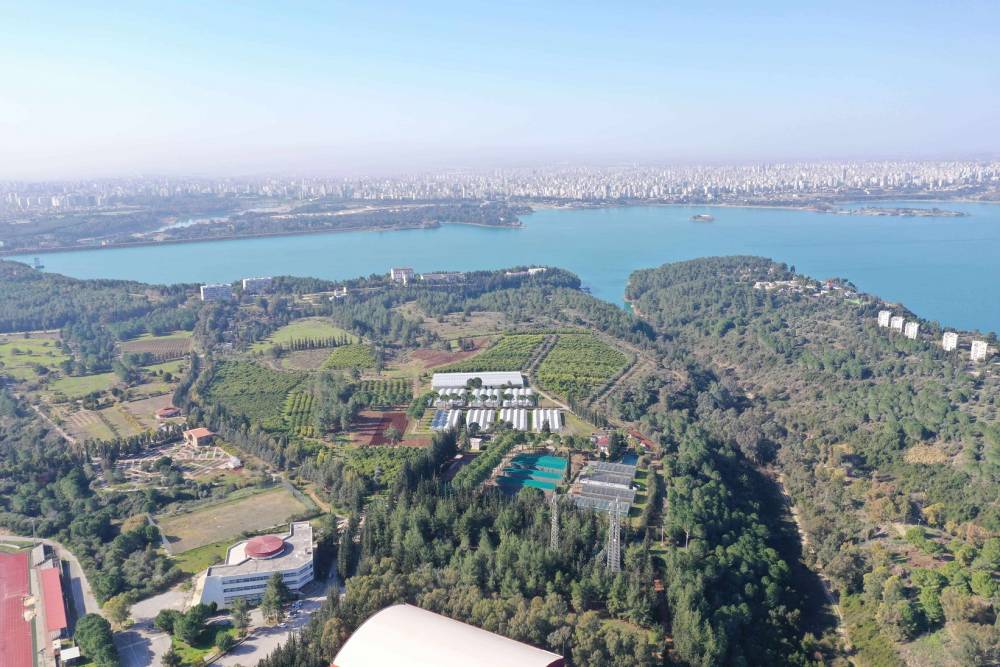 Narenciyenin Gen Bankası Çukurova Üniversitesi